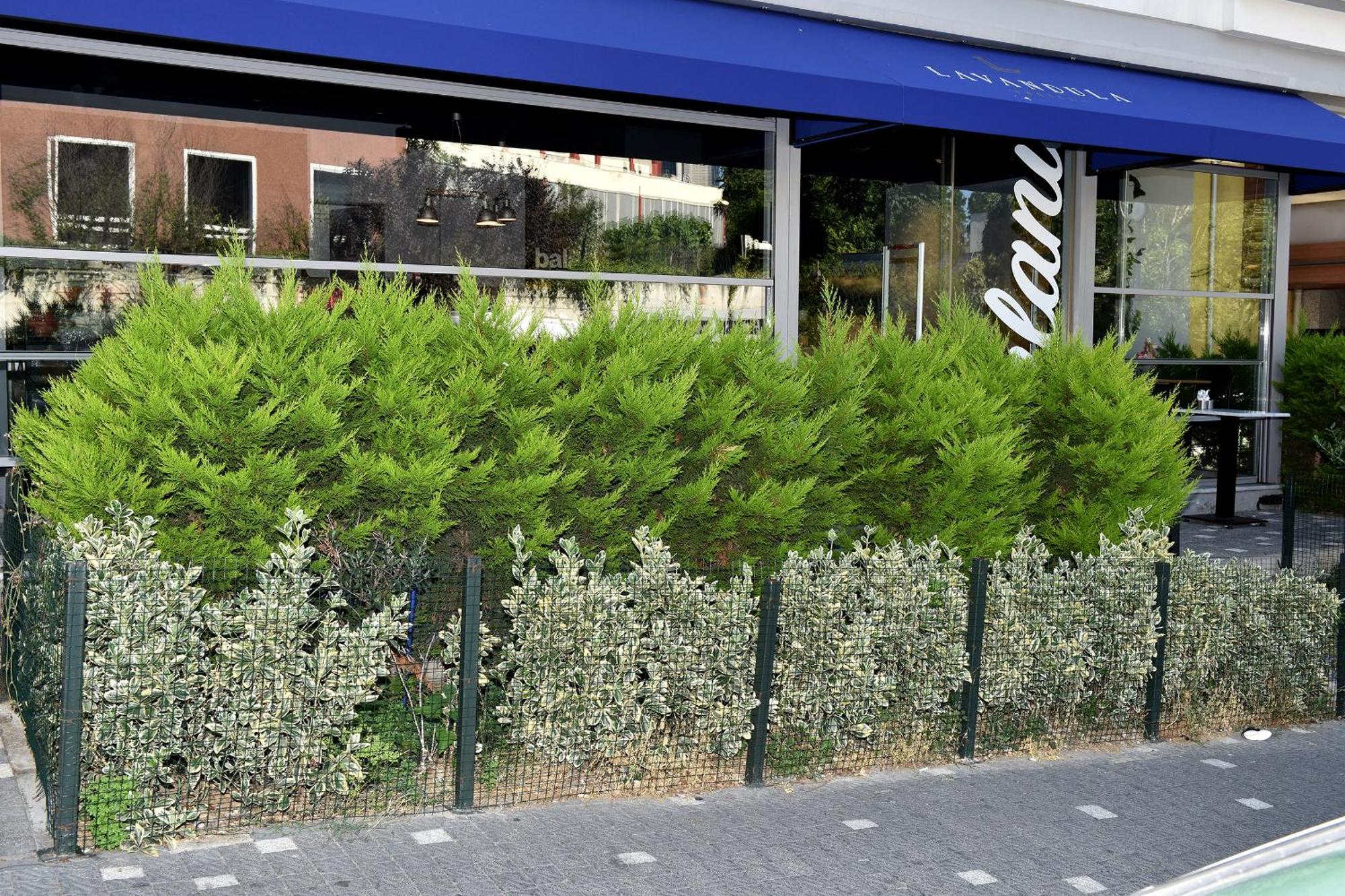 Levent Lavandula Hotel Estambul Exterior foto